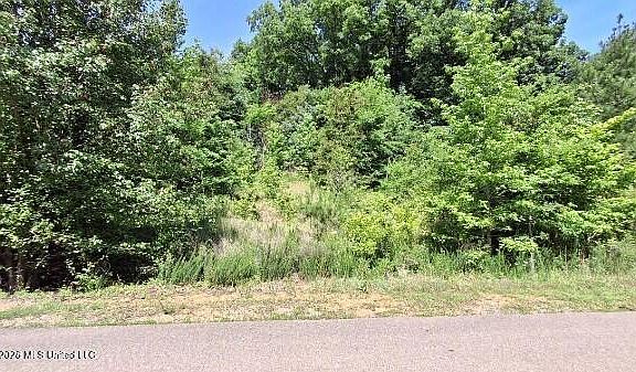 5th image of 4419 Dickens Place Dr W Lot 502