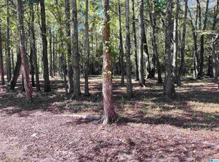 1631 Wolf Creek Rd N #2, Pell City, AL 35125