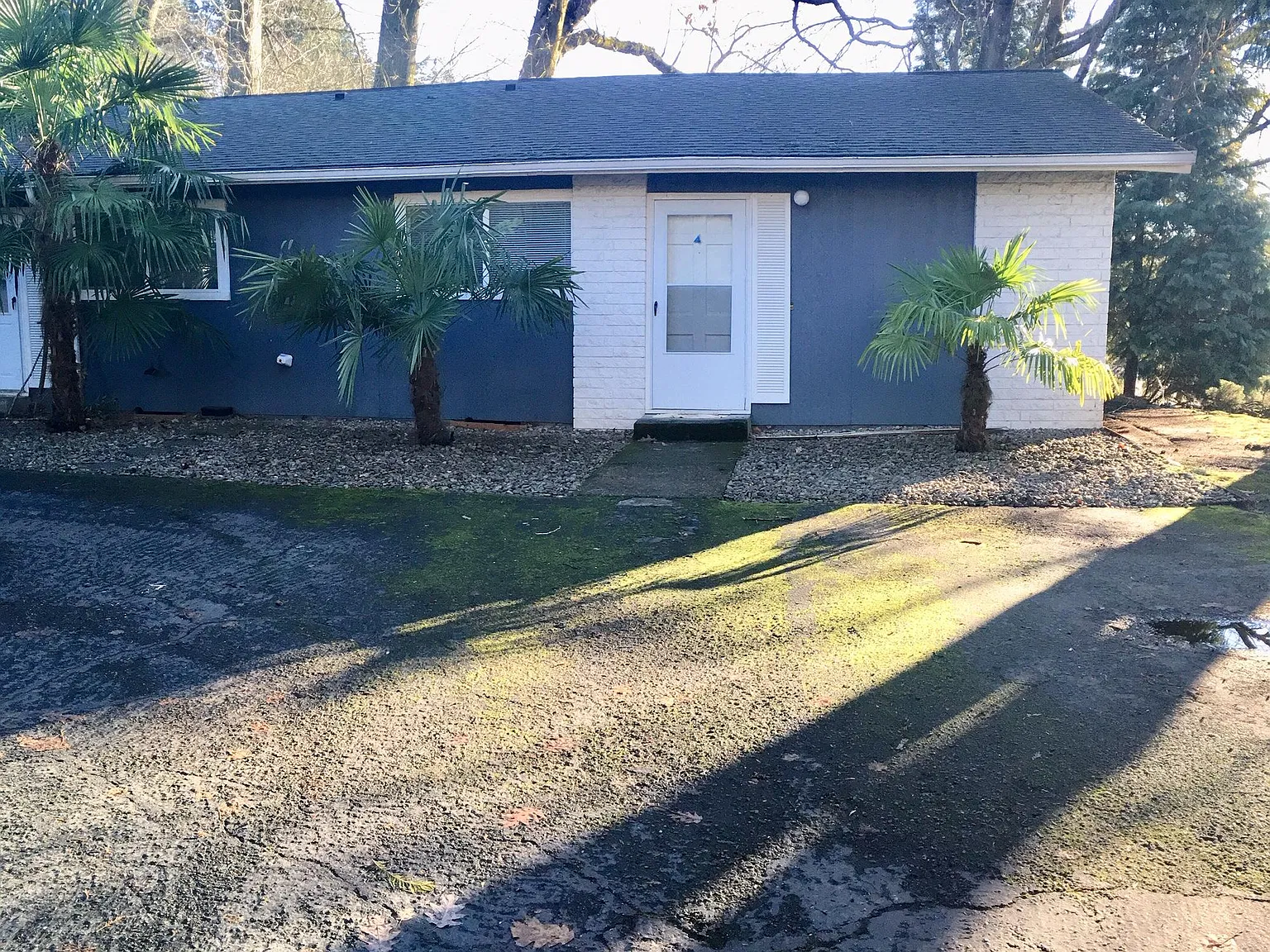2 bed, 800 sqft, $1,795 — Photo 1
