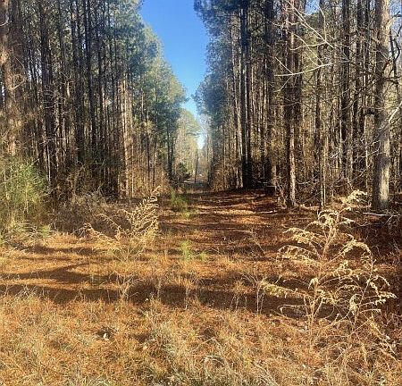 2nd image of Farrell Rd