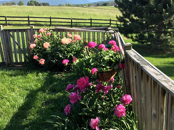 Southern View of Canandaigua