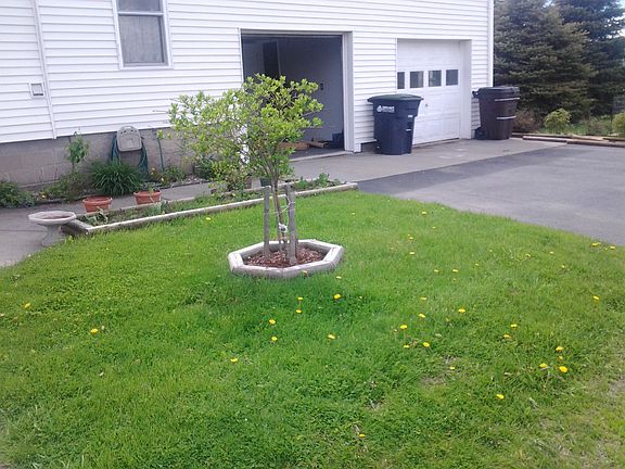 2nd image of 62 Lawrence Ave