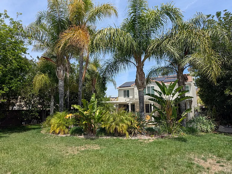 27845 Eucalyptus St — Photo 12