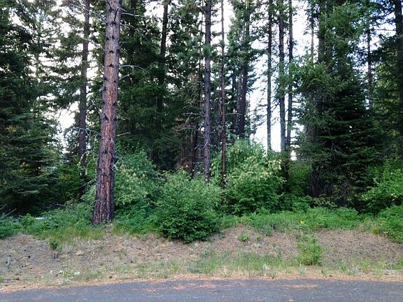 2nd image of 51 Meadow Sweet Ct