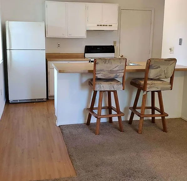 8100 Mount Snow Dr — Photo 6