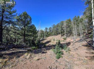 593 Paradiso Rd, Divide, CO 80814