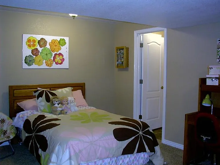 Downstairs Jr. Master Suite