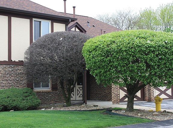 2nd image of 15724 Orlan Brook Dr Unit 192