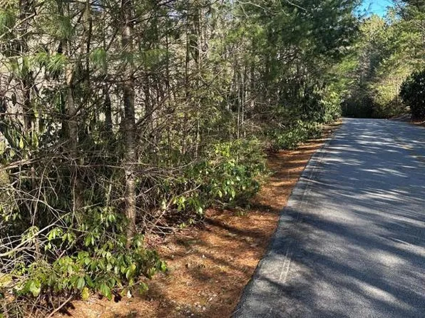 Lot 137 N Buckberry Drive, Sapphire, NC 28774