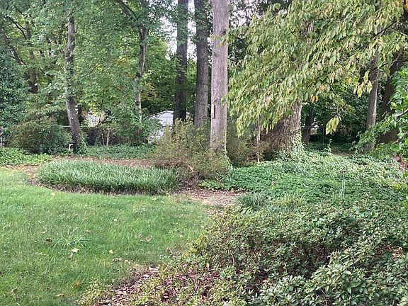 3rd image of 2817 Springwood Dr