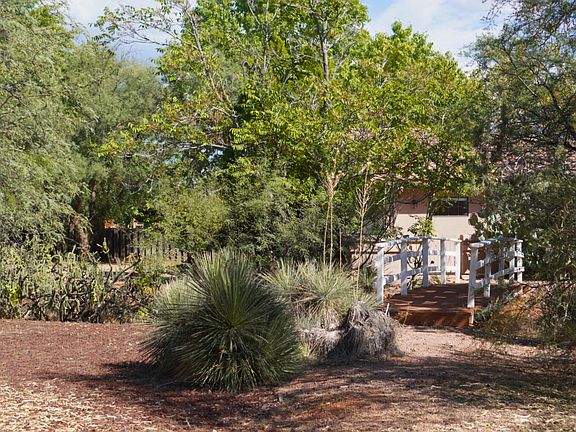 Side yard