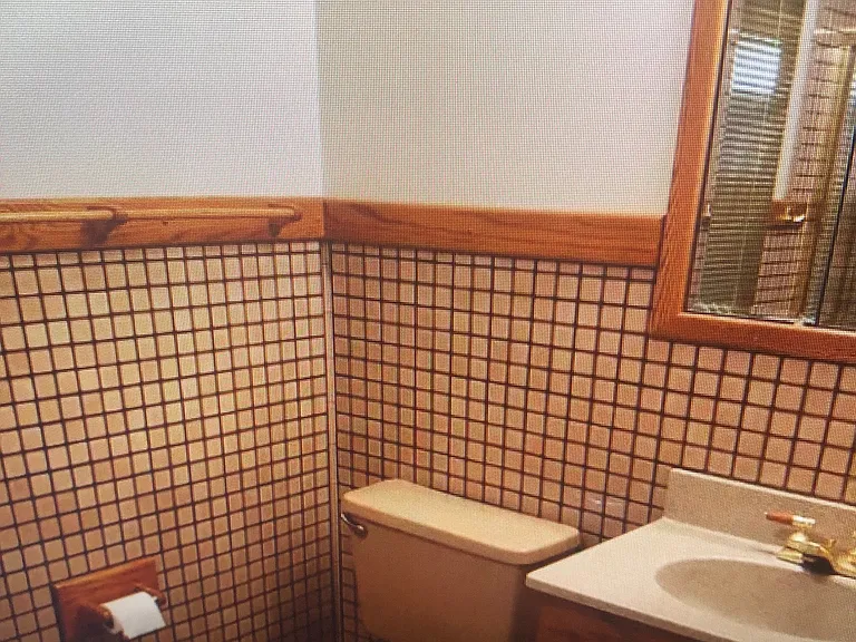 Main floor bath