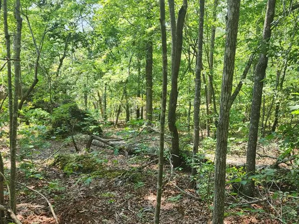 0 Hawthorn Cv, Holladay, TN 38341