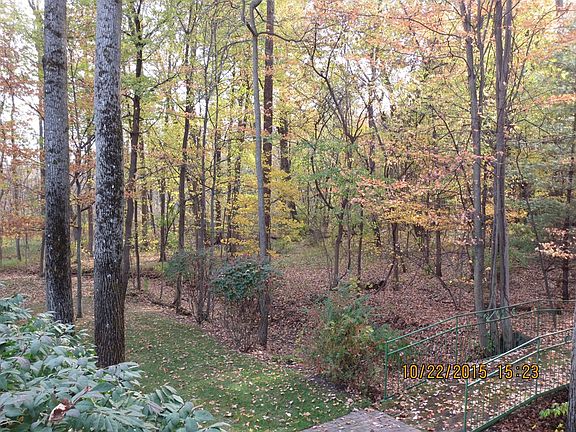 4th image of 1566 Forest Bay Ct