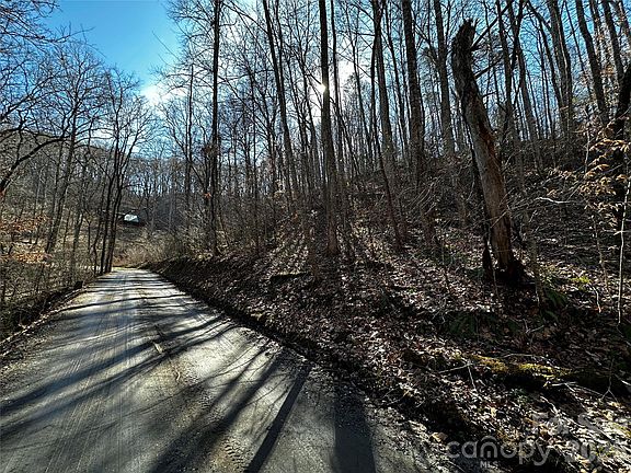 5th image of 11 Blue Mist Mountain Rd