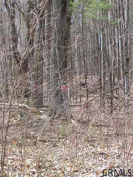 5th image of 0 SCOTT LAKE Road
