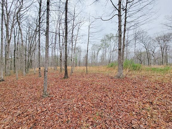 4th image of 0 Oakwood Trl Lot 33