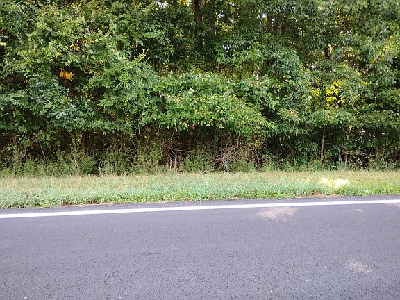 4th image of Mary Collier Rd