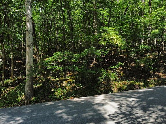 4th image of 161 Sugarbush Cir