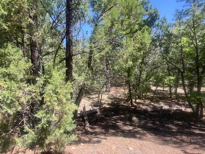 Davis Ln, Lakeside, AZ, 85929