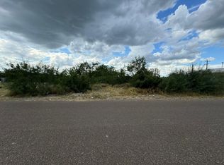 1107 Weslaco Ln, Zapata, TX 78076