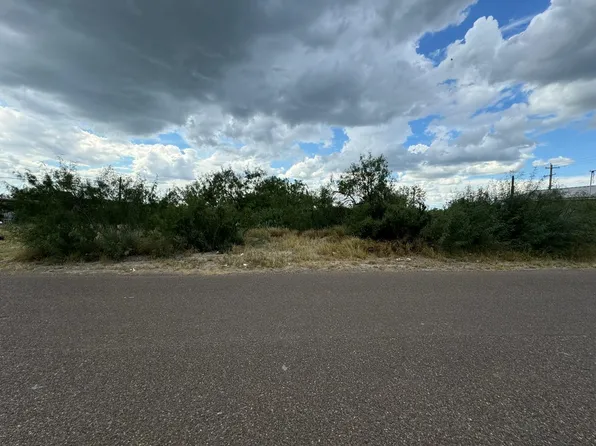 1107 Weslaco Ln, Zapata, TX 78076