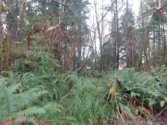 5th image of 107 Duck Lake Dr SE