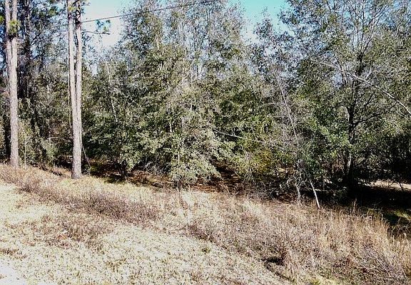 5th image of 0 NE Blue Ridge Landing Ave #A