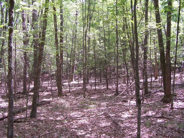 TBD Samsonville Road, Kerhonkson, NY 12446