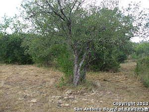 3rd image of 4406 Tamaron Knl