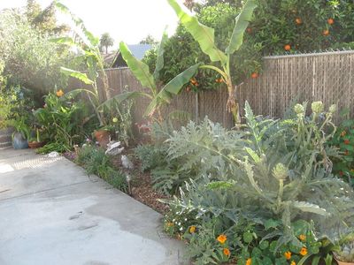 37431 Mission Blvd, Fremont, CA, 94536