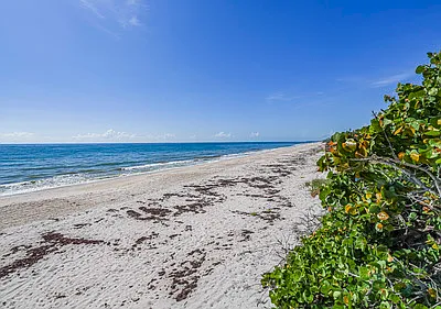 5300 A1a Hwy #305 — Photo 27