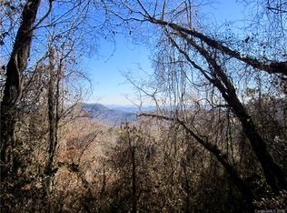 285 Bearwallow Trl #11, Leicester, NC 28748