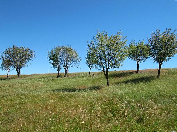 5th image of 8757 Winters Road