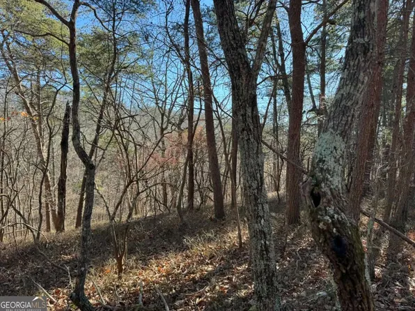 1493 Derby Ct NE, Ranger, GA 30734