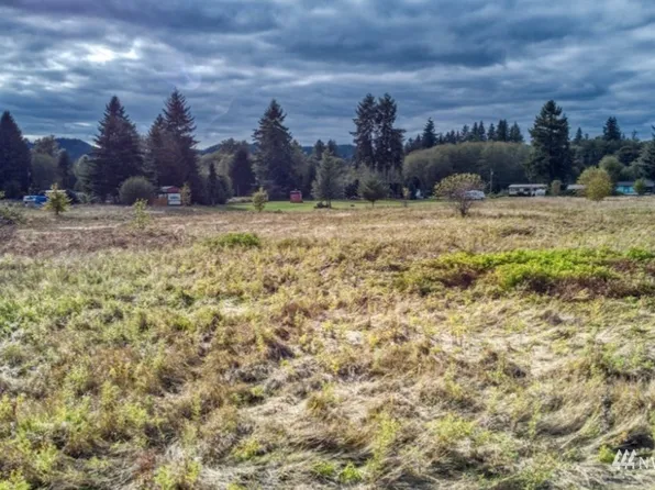 0 Satsop Riviera Loop Road #89, Elma, WA 98541
