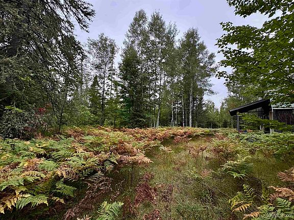 3rd image of 35 Acres Off County Rd