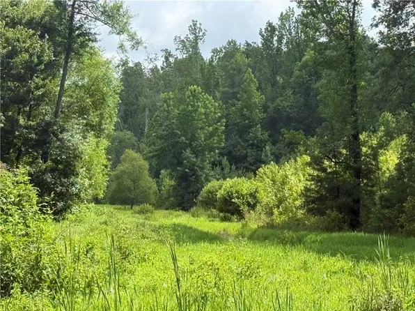 0 Turner Rd, Hampton, GA 30228