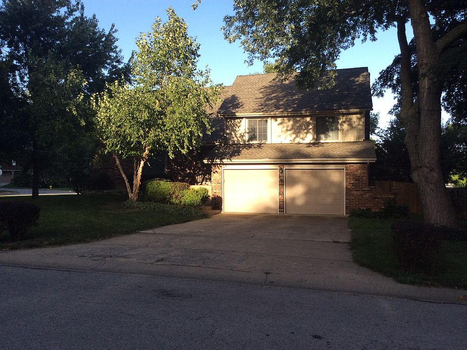 Lovely trees and landscape