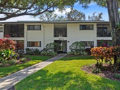 3277 FOX CHASE CIRCLE N #105, Palm Harbor, FL, 34683