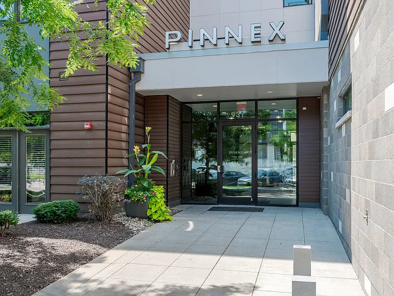 Pinnex — Photo 80