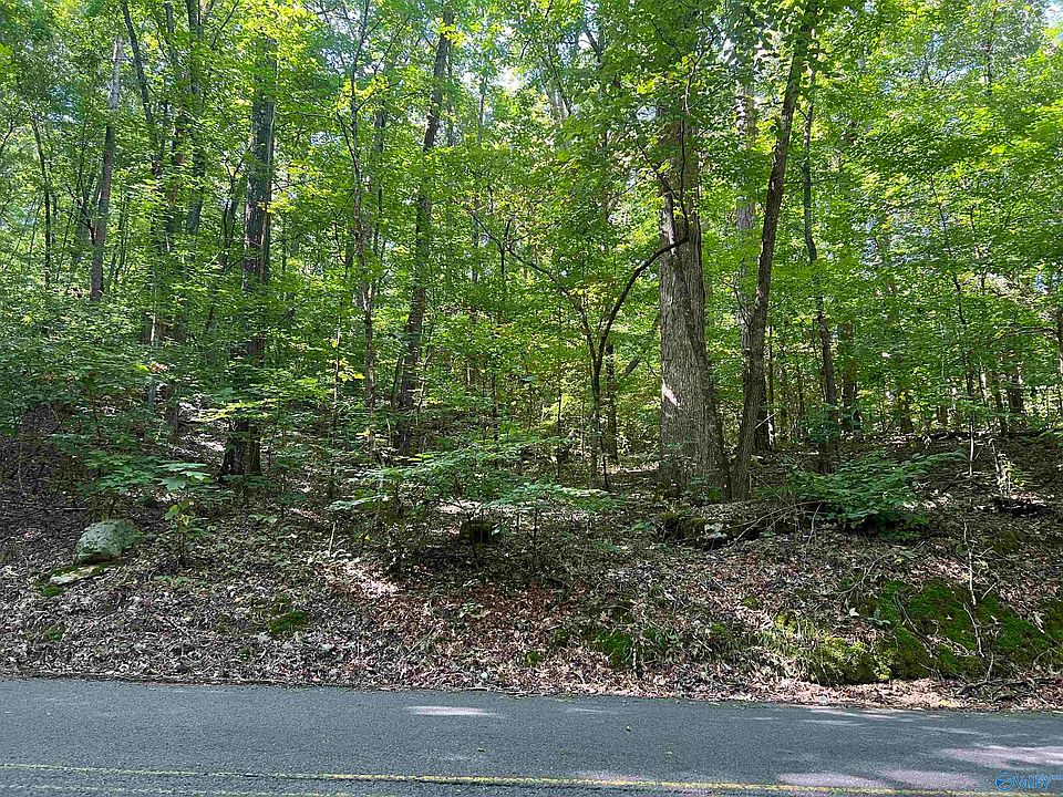 91 Wyeth Dr Guntersville, AL Zillow