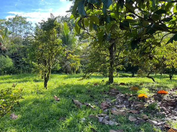 Pahoa Kalapana Rd Lot 2-A-6, Pahoa, HI 96778