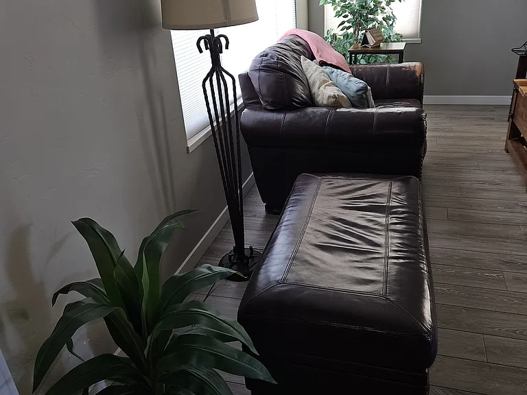 2477 Apex Ave — Photo 6