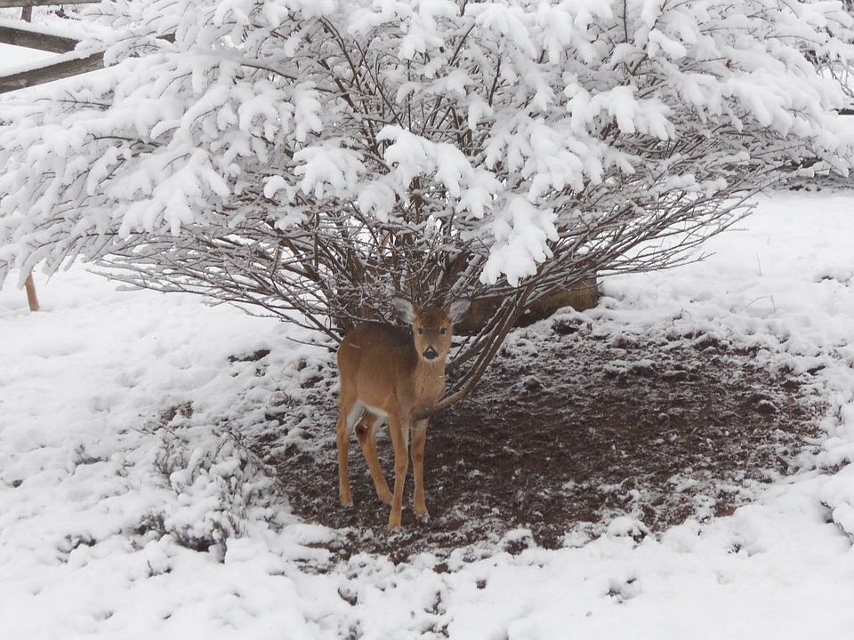 19th image of this home