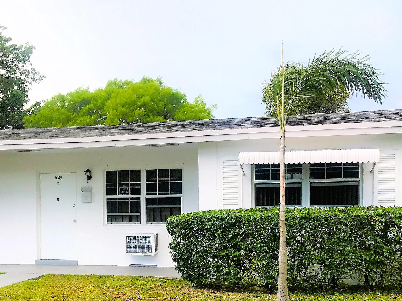 2 bed, 1.0 bath, 700 sqft, $1,900 — Photo 2