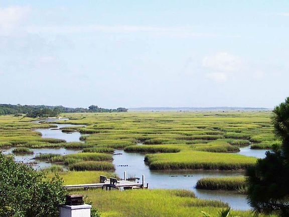 Tidal marsh...ever changing!