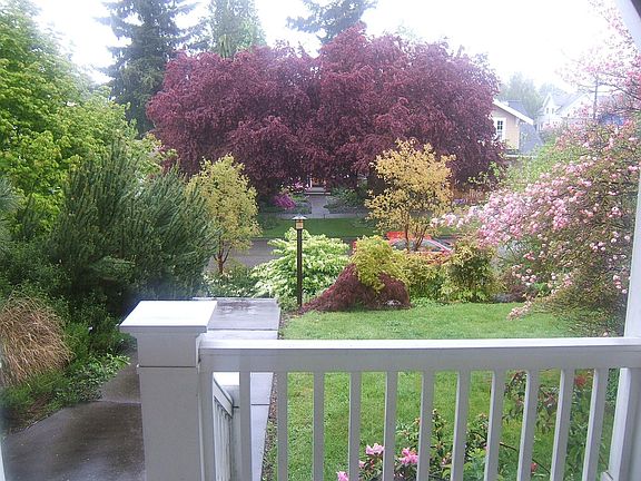 View from front porch in spring