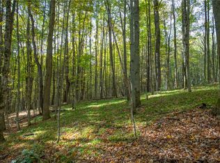 2454 Scott Rd #1, Bloomville, NY 13739