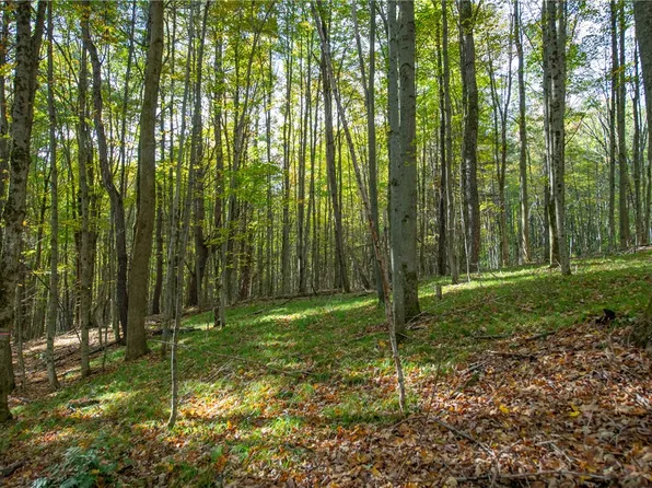 2454 Scott Rd #1, Bloomville, NY 13739